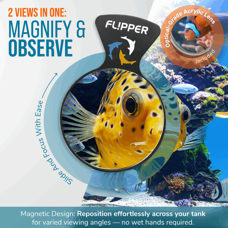 FL!PPER - 5 black - img 03