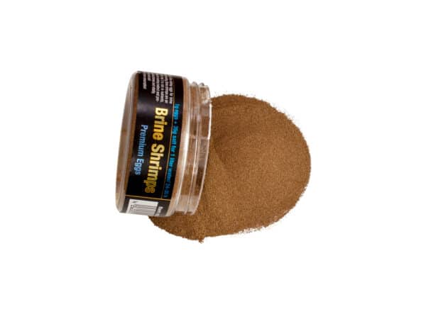 Discusfood - Brine Shrimps Premium Eggs 50g - Cisti di Artemia Salina - immagine 2