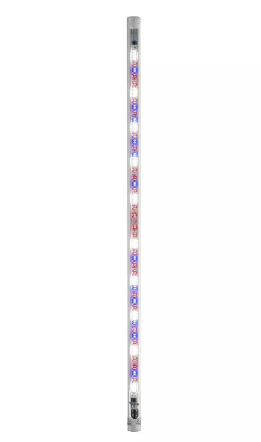 leddytubeplant2_HYghAXid4UPn