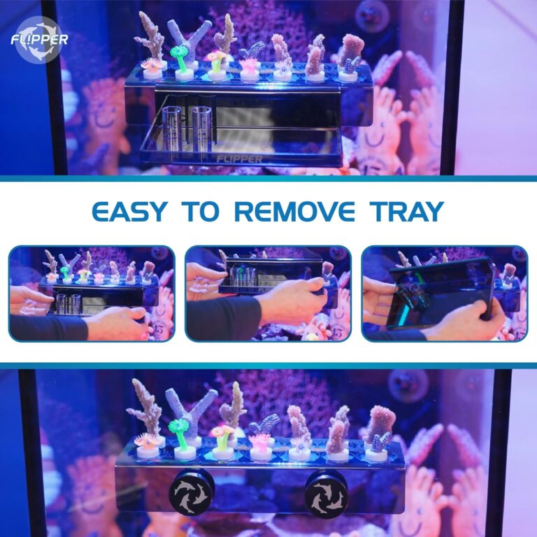 Frag Station - Blue5