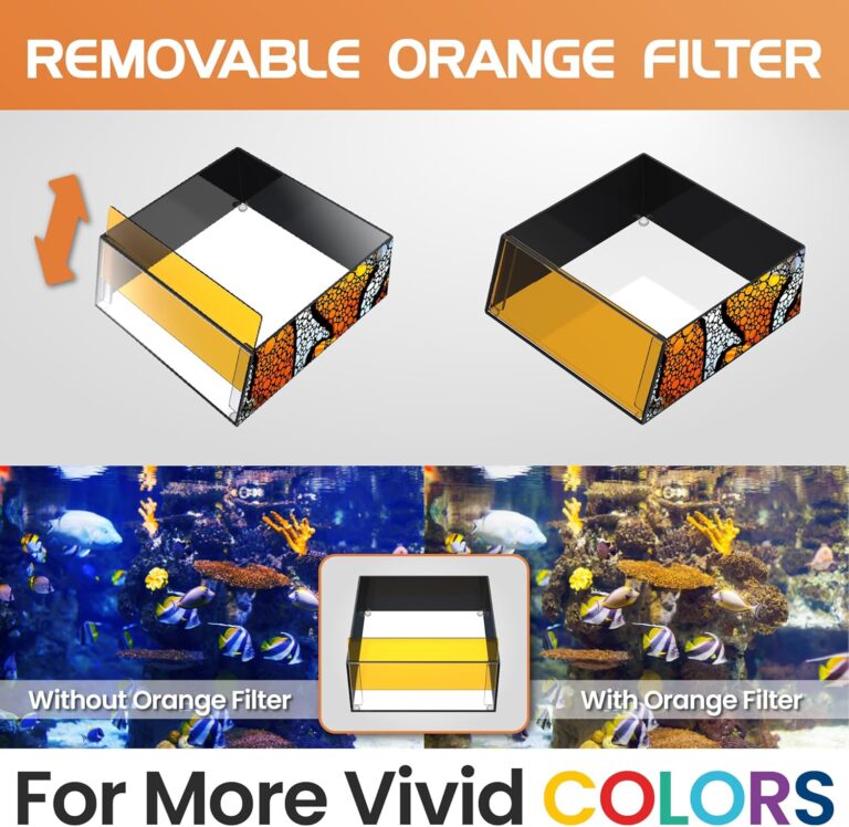 Top Down Viewer Clownfish4