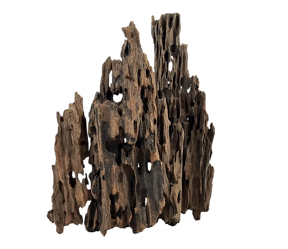 Wio – Dragonscale Wood S