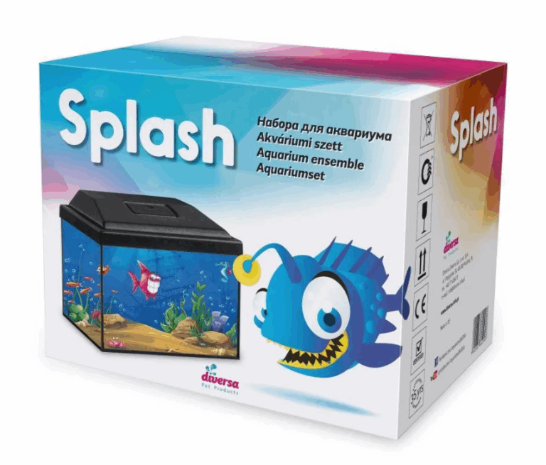 splash 1