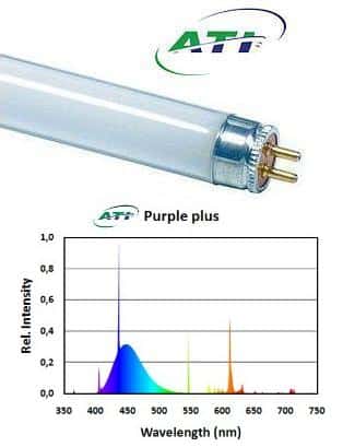 ATI Purple Plus 24 watt - Neon per Acquari Marini